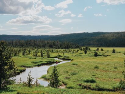 Student fly fishing in remote river in Yellowstone.