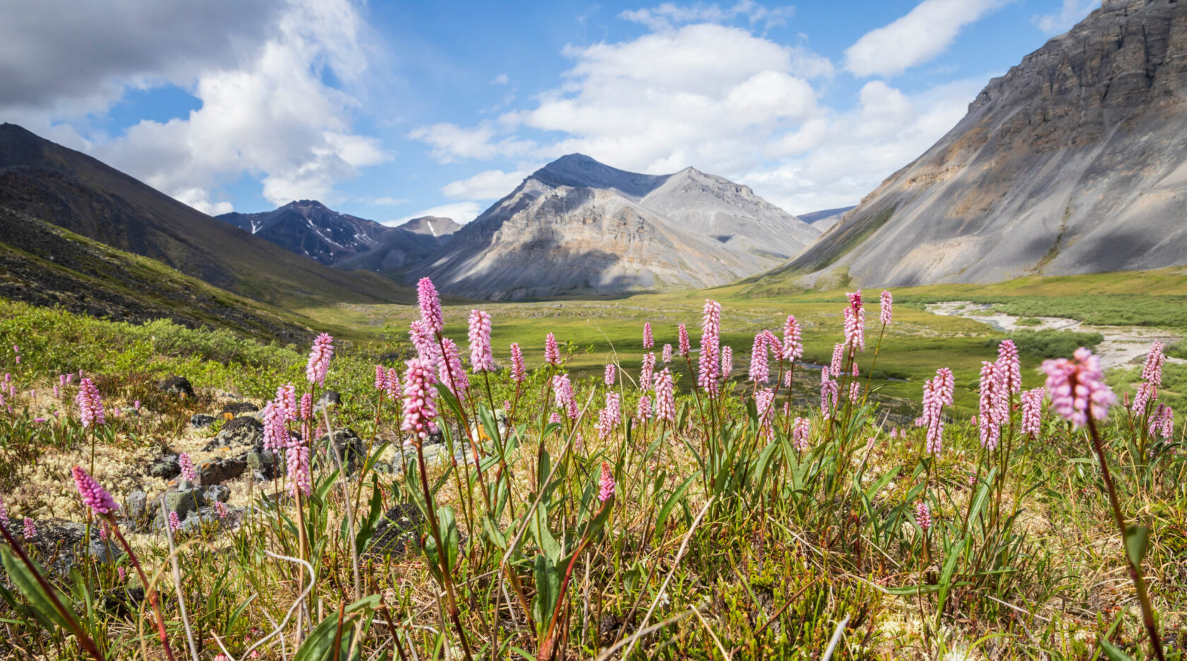 A stream flowing in the summer time in Gates of the Arctic National Park (Alaska), the least visited national park in the United States.