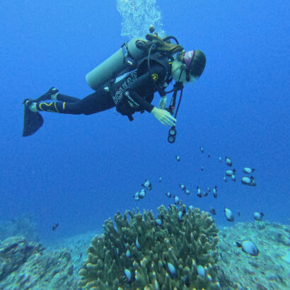 SCUA diving with ocean life in Hawaii.