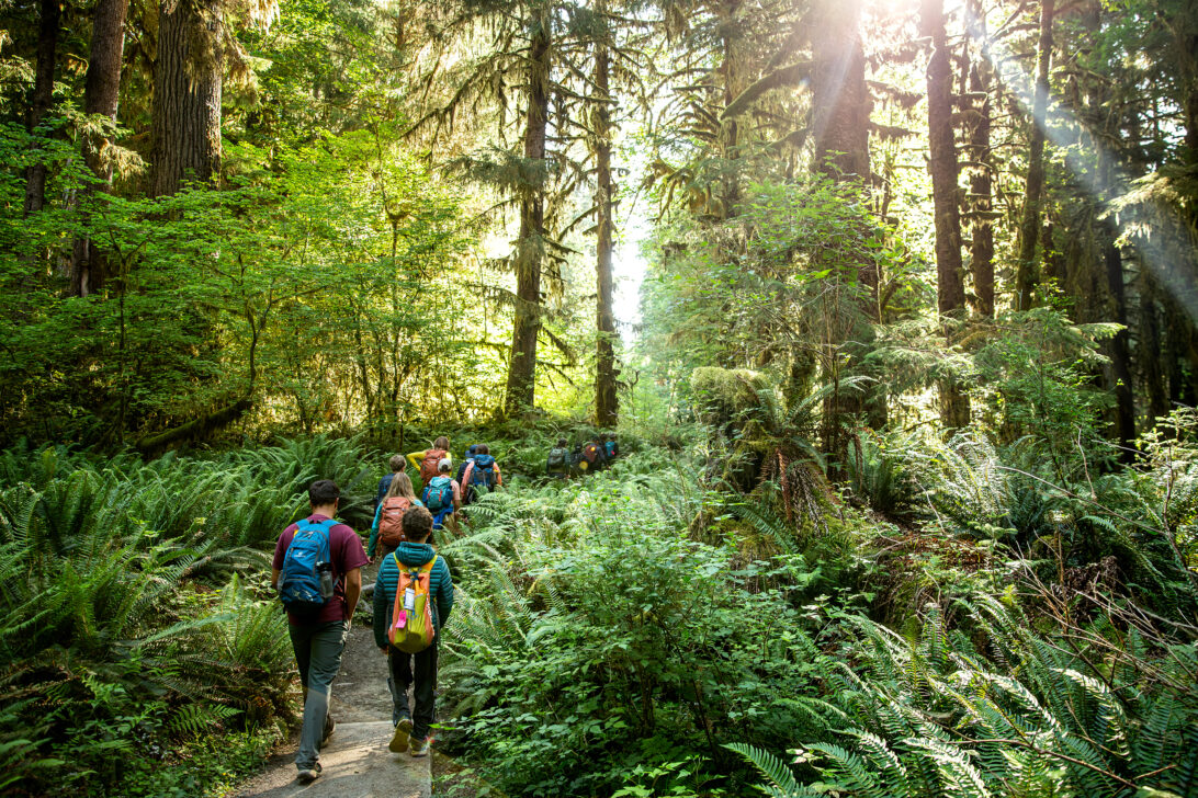 Group of middle schoolers hiking through the Hoh Rainforest in the Pacific Northwest.